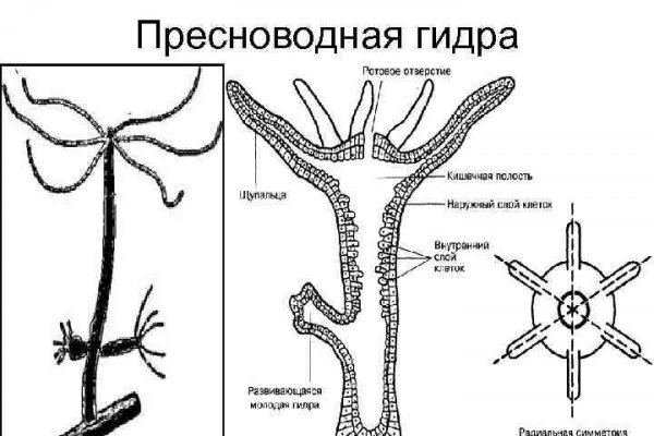 Кракен сайт биз