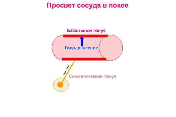 Оригинальный сайт кракен